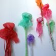 img-8222-1.JPG